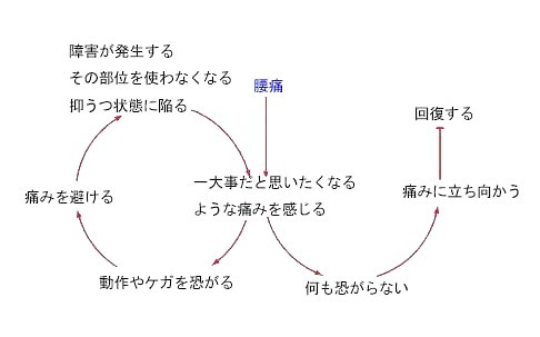 fear avoidance model（恐怖回避）_b0052170_23172653.jpg