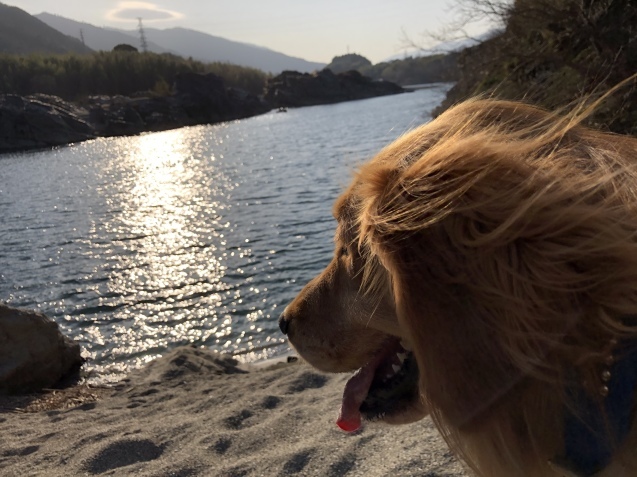 リタイア熱、急上昇。_a0394574_23445225.jpeg