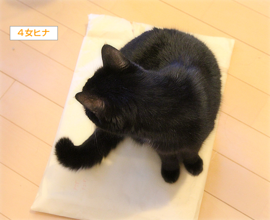 かつあげ_a0389088_17093739.jpg