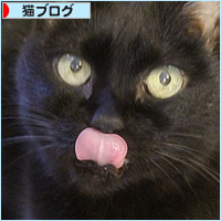 かつあげ_a0389088_17093881.jpg
