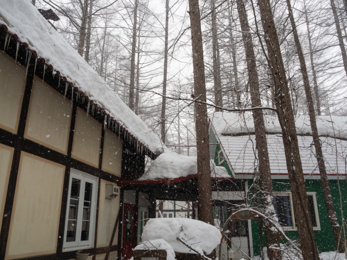 激しい雪の中やって来たエゾリス君は雪まみれ!_f0276498_23161116.jpg