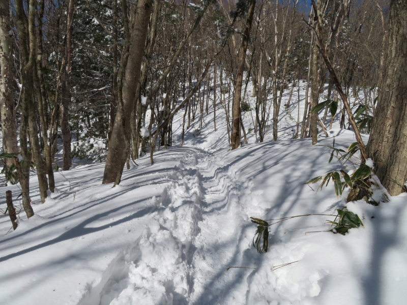 青空と樹氷　南沢山 (1,564M)      登頂 編_d0170615_09522927.jpg