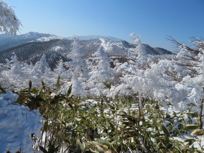 青空と樹氷 南沢山 (1,564M) 登頂 編_d0170615_09531267.jpg