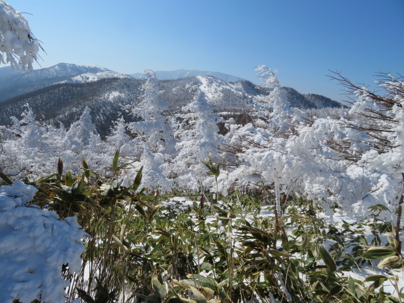 青空と樹氷　南沢山 (1,564M)      登頂 編_d0170615_09531267.jpg