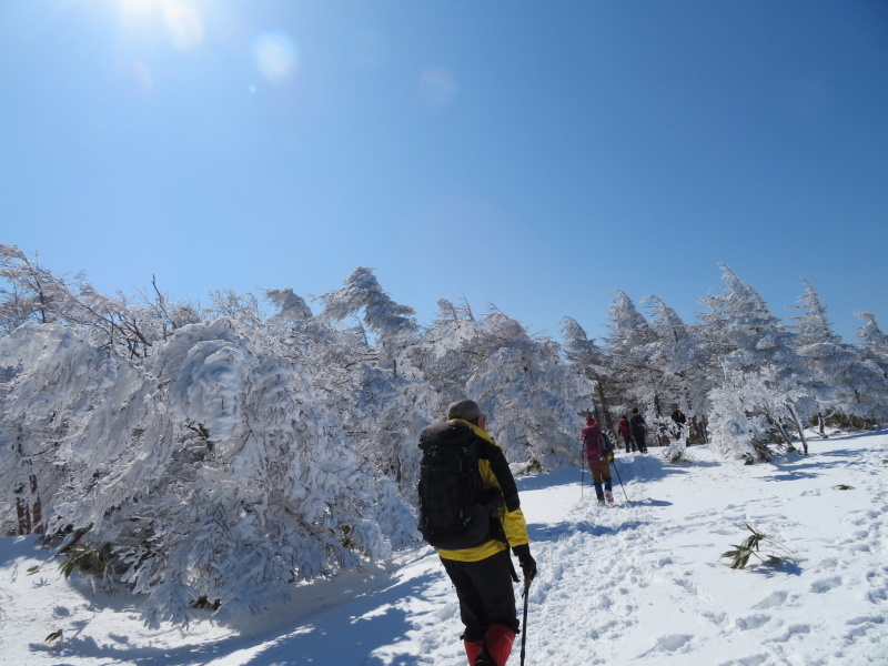 樹氷林を行く　南沢山 (1,564M)    横川山 編_d0170615_23005330.jpg