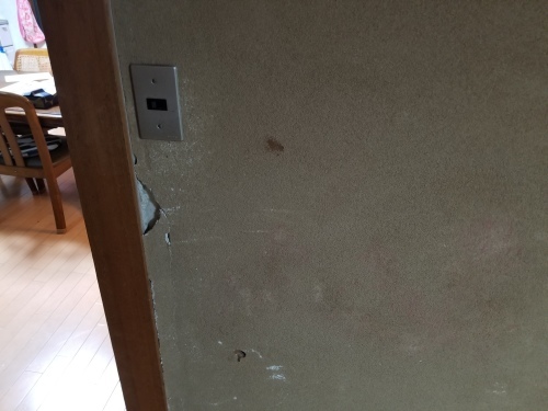 佐伯区・D様邸 内装工事_d0125228_20241434.jpg
