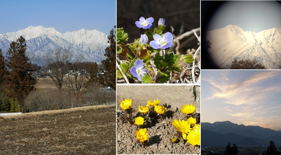 雪形と花_a0212730_17524671.jpg