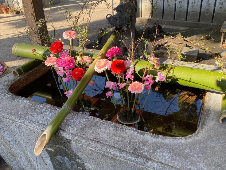 花手水 高槻 野見神社 たんぶーらんの戯言 花手水 高槻 野見神社 たんぶーらんの戯言