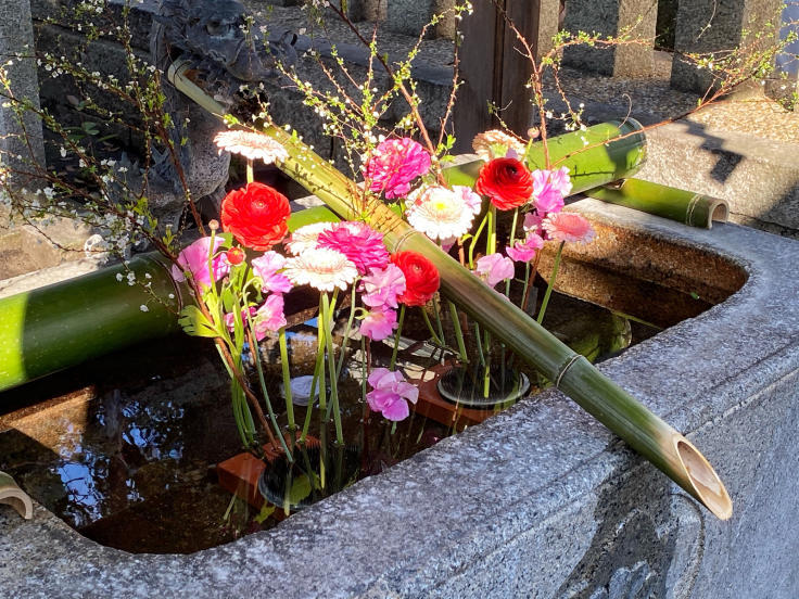 花手水 高槻 野見神社 たんぶーらんの戯言 花手水 高槻 野見神社 たんぶーらんの戯言