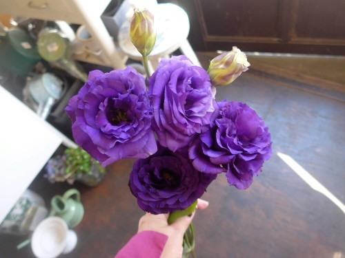 花修行~紫のアネモネのアンティーク風アレンジメント~_f0232060_12155964.jpg