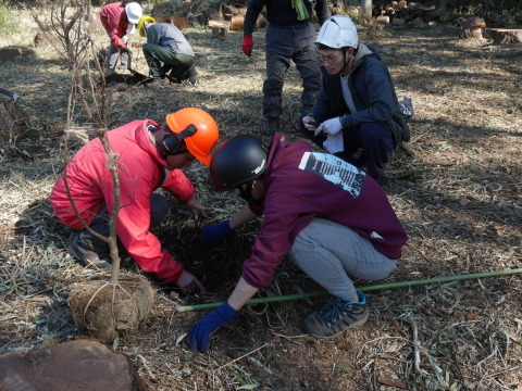 畑上の杉林にエゴノキ3本植樹2・20六国見山手入れ_c0014967_10074703.jpg