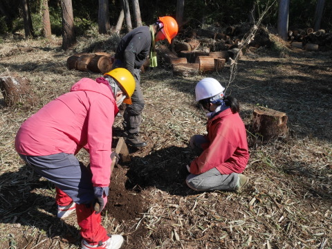 畑上の杉林にエゴノキ3本植樹2・20六国見山手入れ_c0014967_10105680.jpg