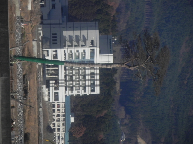 2011/12/1-2【宮城・岩手】東日本大震災の消えない残像 附、松島・瑞巌寺_b0116271_11133401.jpg