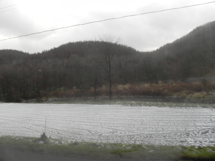 2011/12/1-2【宮城・岩手】東日本大震災の消えない残像 附、松島・瑞巌寺_b0116271_11195741.jpg