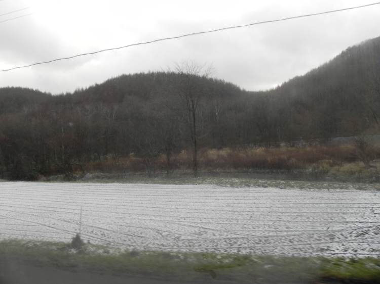 2011/12/1-2【宮城・岩手】東日本大震災の消えない残像　附、松島・瑞巌寺_b0116271_11195741.jpg