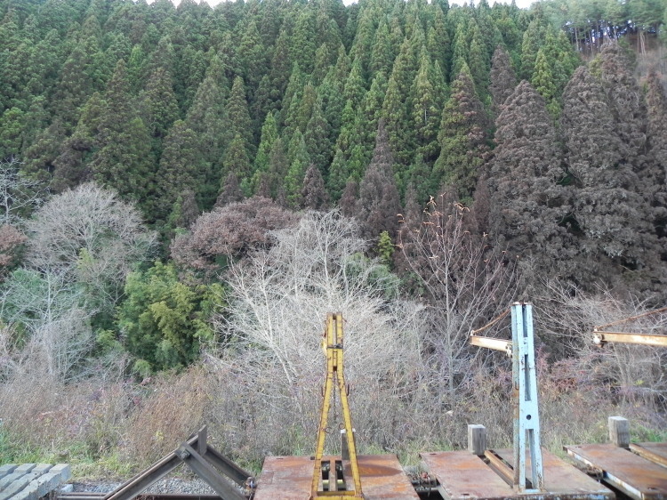 2011/12/1-2【宮城・岩手】東日本大震災の消えない残像　附、松島・瑞巌寺_b0116271_11364311.jpg