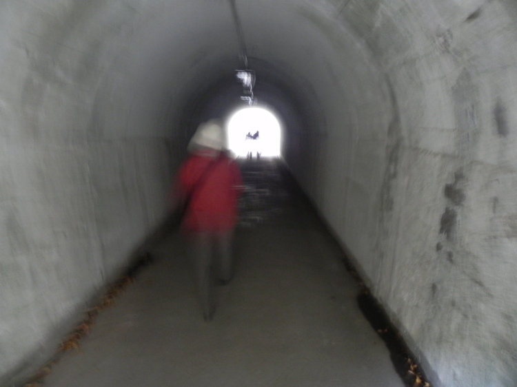 2011/12/1-2【宮城・岩手】東日本大震災の消えない残像 附、松島・瑞巌寺_b0116271_11574600.jpg
