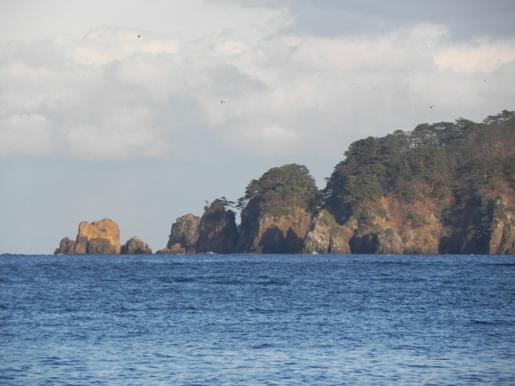 2011/12/1-2【宮城・岩手】東日本大震災の消えない残像 附、松島・瑞巌寺_b0116271_12022538.jpg