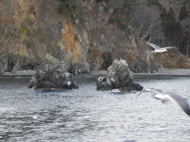 2011/12/1-2【宮城・岩手】東日本大震災の消えない残像 附、松島・瑞巌寺_b0116271_12083415.jpg