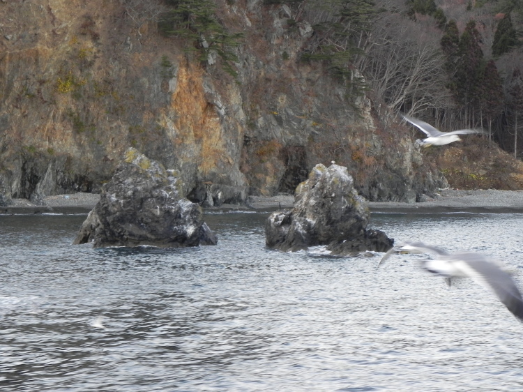 2011/12/1-2【宮城・岩手】東日本大震災の消えない残像　附、松島・瑞巌寺_b0116271_12083415.jpg