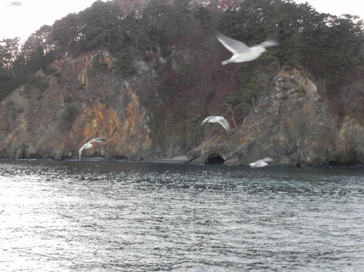 2011/12/1-2【宮城・岩手】東日本大震災の消えない残像　附、松島・瑞巌寺_b0116271_12101212.jpg