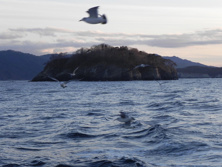 2011/12/1-2【宮城・岩手】東日本大震災の消えない残像　附、松島・瑞巌寺_b0116271_12124300.jpg