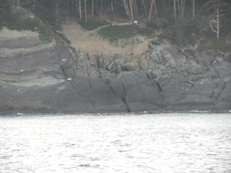 2011/12/1-2【宮城・岩手】東日本大震災の消えない残像　附、松島・瑞巌寺_b0116271_12150234.jpg