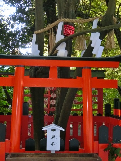 下鴨神社_f0226671_21473068.jpg