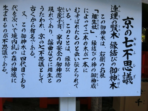 下鴨神社_f0226671_21474313.jpg