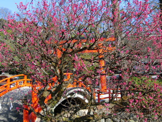 下鴨神社_f0226671_21524153.jpg