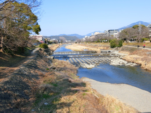下鴨神社_f0226671_21542585.jpg
