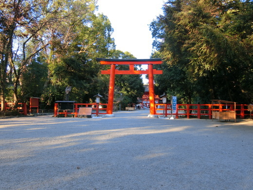 下鴨神社_f0226671_22140424.jpg