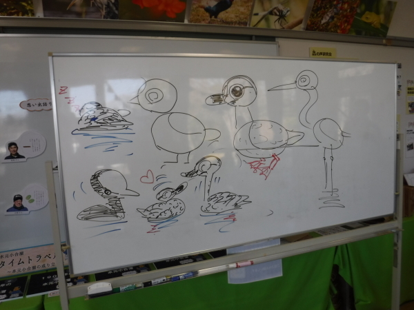 自然学習講座 かわいい野鳥イラスト教室 を開催しました 水元かわせみの里水辺のふれあいルーム 自然学習講座 かわいい野鳥イラスト教室 を開催しました 水元かわせみの里水辺のふれあいルーム