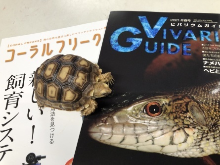 2/21 店長日記_e0173381_19173031.jpg
