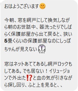 しっぽちゃん レベル1の隠れ蓑術 Npo法人 府中猫の会 しっぽちゃん レベル1の隠れ蓑術 Npo法人 府中猫の会