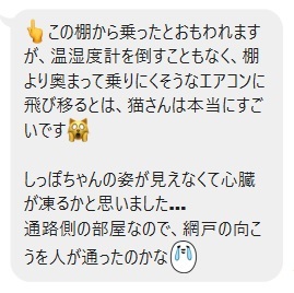 しっぽちゃん レベル1の隠れ蓑術 Npo法人 府中猫の会 しっぽちゃん レベル1の隠れ蓑術 Npo法人 府中猫の会
