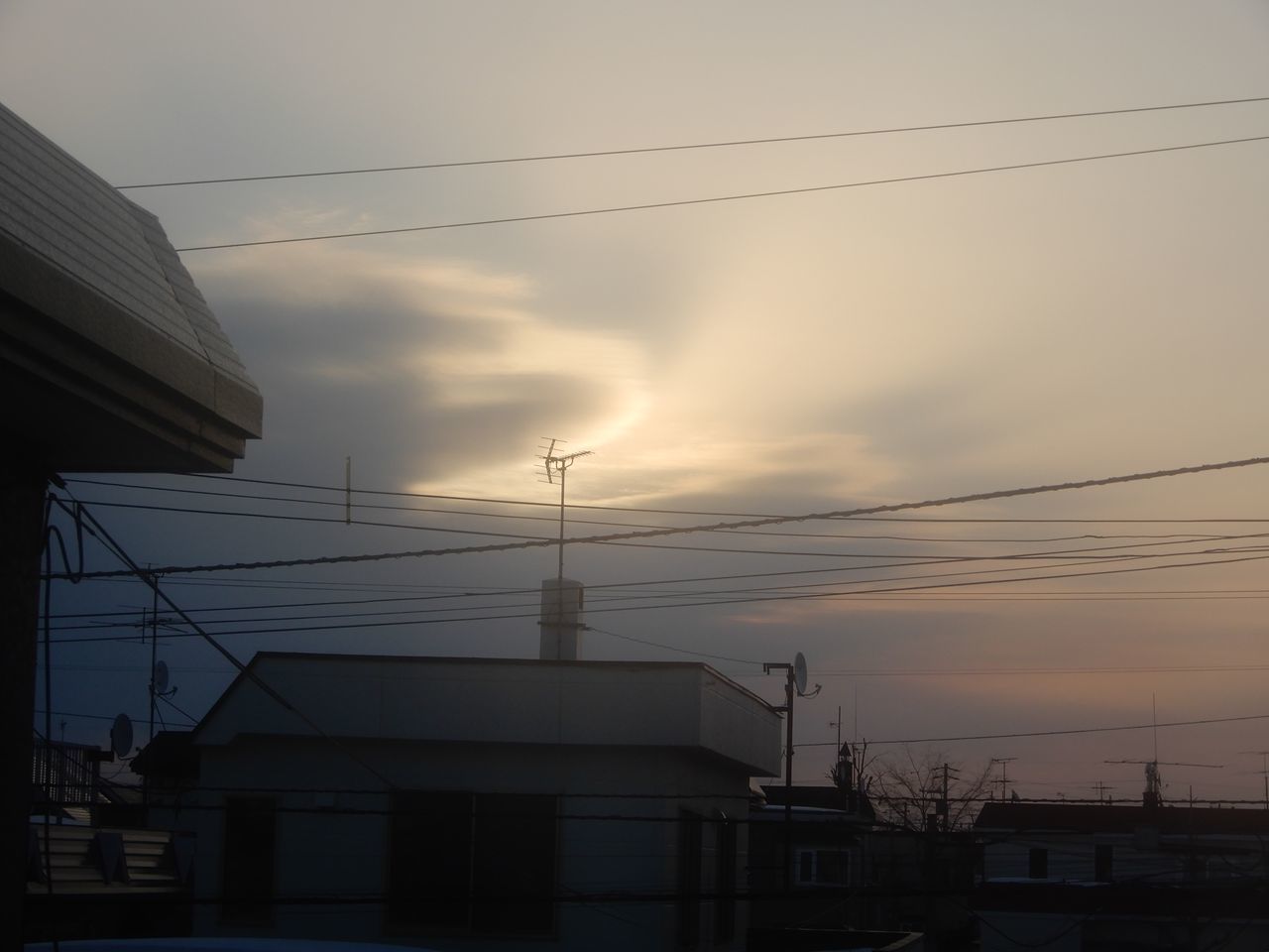 今の時期の普通の一日_c0025115_21083755.jpg