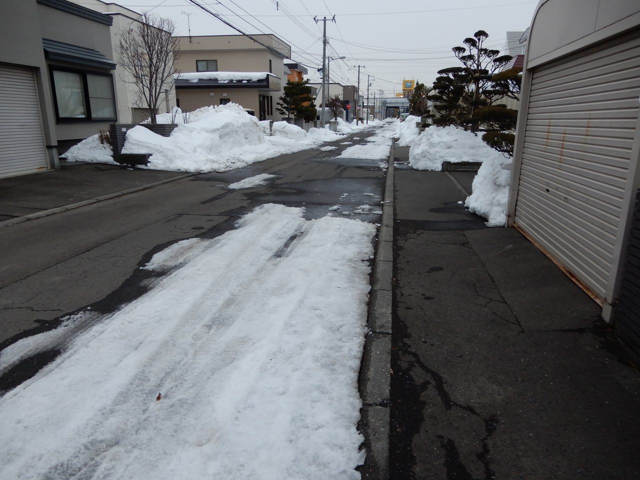 今の時期の普通の一日_c0025115_21191338.jpg