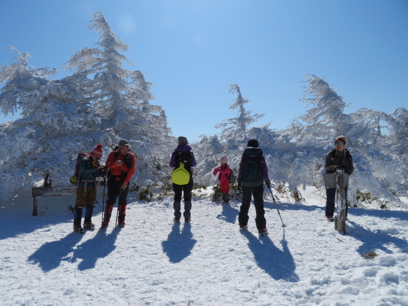 樹氷林を行く　南沢山 (1,564M)    横川山 編_d0170615_09135794.jpg