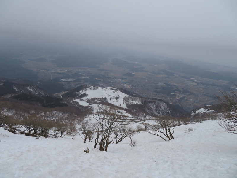 雪の　伊吹山 (1,377.3M)    下山 編_d0170615_19090919.jpg