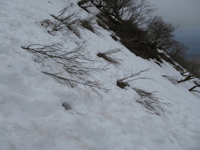 雪の　伊吹山 (1,377.3M)    下山 編_d0170615_19091720.jpg