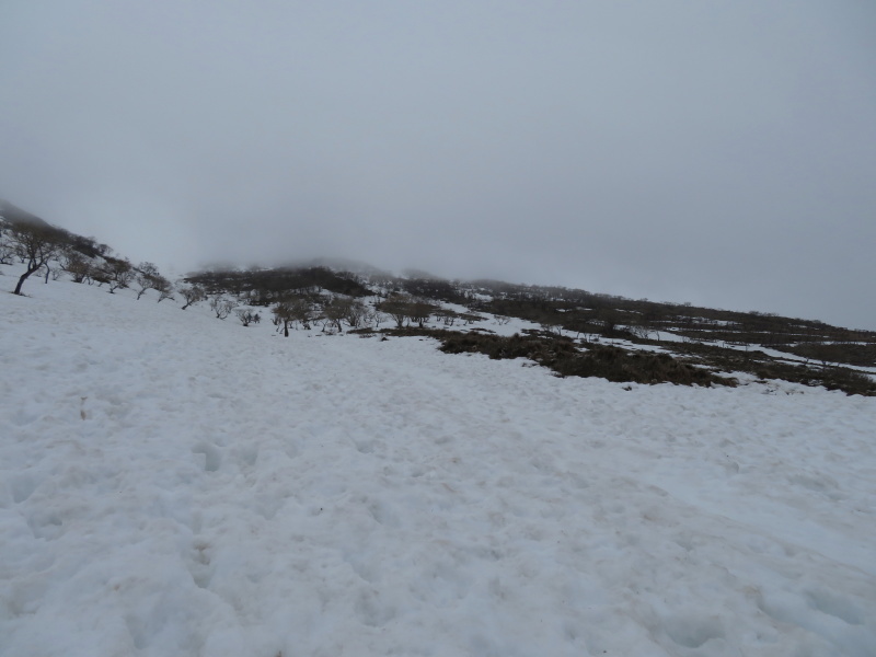 雪の　伊吹山 (1,377.3M)    下山 編_d0170615_19092524.jpg