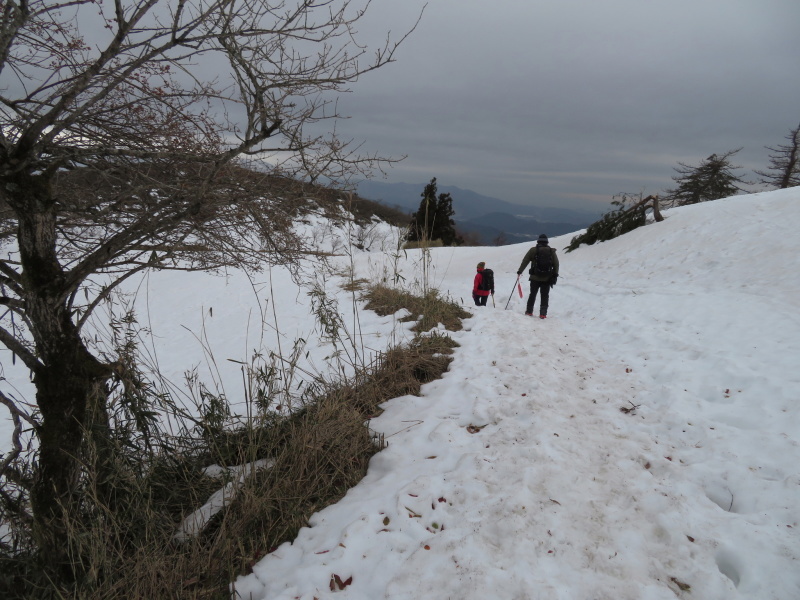雪の 伊吹山 (1,377.3M) 下山 編_d0170615_19100833.jpg