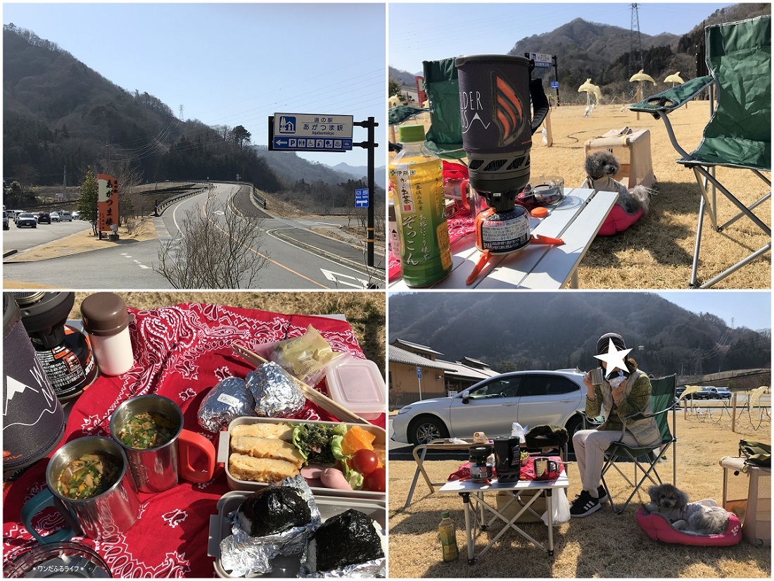 *ドッグラン付き道の駅『あがつま峡』*_d0317115_22300464.jpg