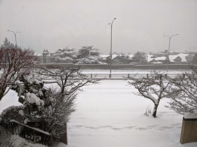 雪の日に_d0113429_07391609.jpg