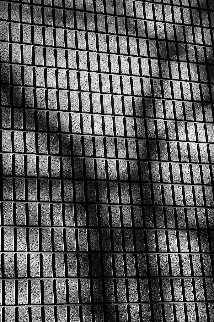 Photo Shinjuku by FUJINON XF50mm/F2.0+X-Pro2_f0050534_11184698.jpg