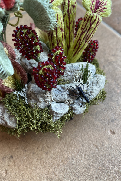 食虫植物のテラリウムにアリを固定しました フェルタート R オフフープ R 立体刺繍作家pienisieniのブログ 食虫植物のテラリウムにアリを固定しました フェルタート R オフフープ R 立体刺繍作家pienisieniのブログ