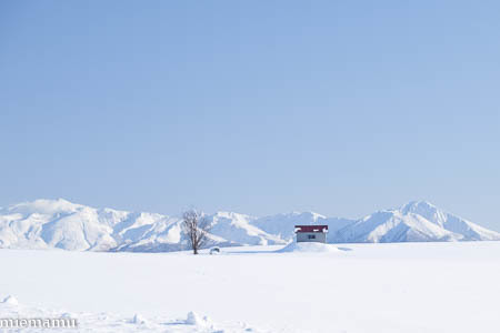 赤い屋根の丘と十勝岳連峰~1月の美瑛_d0340565_19490470.jpg