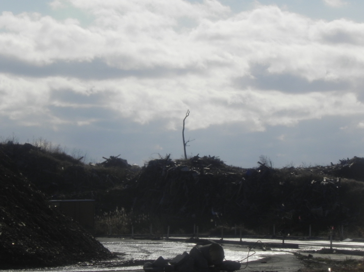 2011/12/1-2【宮城・岩手】東日本大震災の消えない残像　附、松島・瑞巌寺_b0116271_21361082.jpg