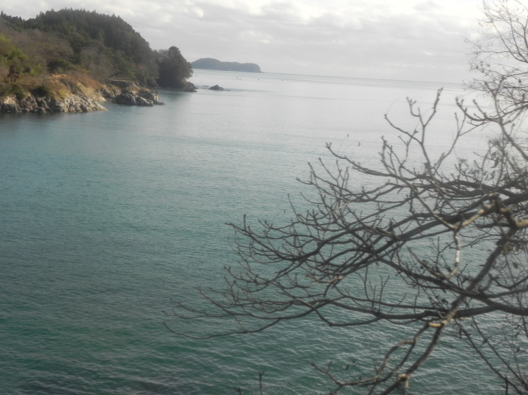 2011/12/1-2【宮城・岩手】東日本大震災の消えない残像　附、松島・瑞巌寺_b0116271_21514047.jpg